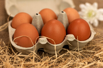 Organic brown eggs in an egg carton. Eggs in a box on straw. Broken Egg