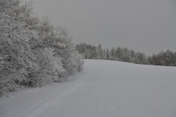 Winter landscape scenery full of white snow