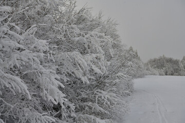 Winter landscape scenery full of white snow