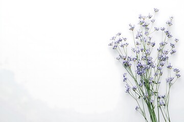 Naklejka premium Minimalist Lavender Bouquet Simple Elegance