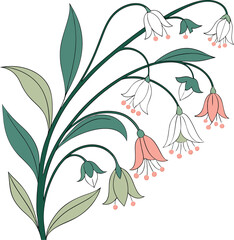 botany, bells with no background