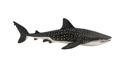 Fototapeta premium Realistic Shark Toy Figure for Children and Educational Use in Marine Life Studies