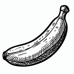 Fototapeta premium Hand-drawn banana illustration in black and white style 