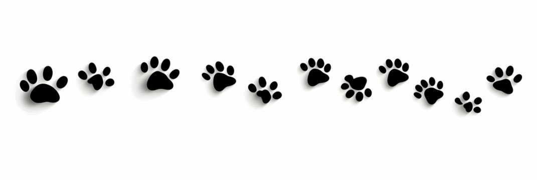 Black paw prints trailing across a white background, perfect for pet-related themes and animal graphics.