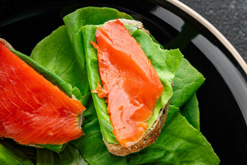 Salmon sandwich red fish seafood appetizer dish fresh tasty gourmet food background on table rustic food top view copy space pescetarian diet
