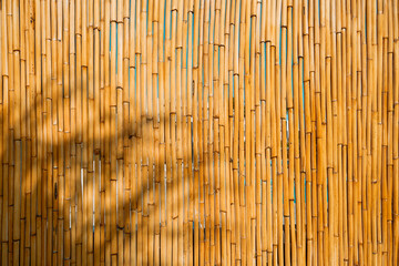 Bamboo Reed Straw Background Bamboo