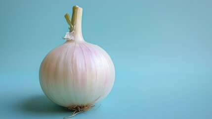 Fresh White Onion Bulb Against a Soft Blue Backdrop Clean Minimalist Composition with Culinary Ingredient and Natural Light