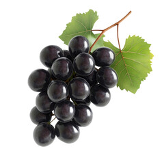 Fototapeta premium bunch of grapes isolated on transparent white