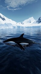 Peaceful Blue Whale in the Deep Ocean Marine Life Nature Underwater Scenic Beauty Photography