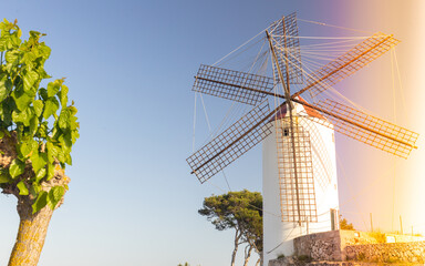 Historic windmills on Menorca, a tiny island in the Balearic Islands. The area around the town of...