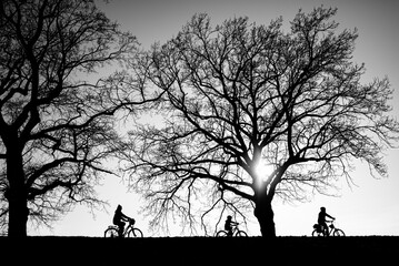 Silhouette of a family riding a bicycle in a city park