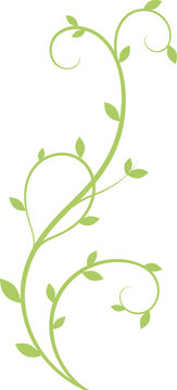 Fototapeta Green vine plant design with swirling tendrils and leaves in a minimal style for decorative vector art