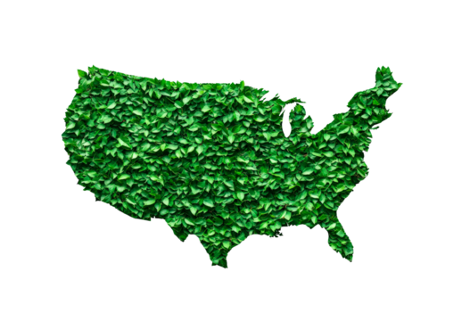 Map of the United States covered in vibrant green foliage isolated on transparent background