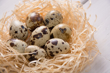 Quail eggs in a nest