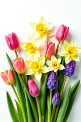 Obraz premium Colorful assortment of spring flowers including tulips, daffodils, and hyacinths on a crisp white background, seasonal, arrangement