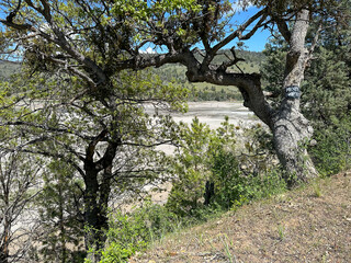 Copco Lake on the Klamath River after the dam removal