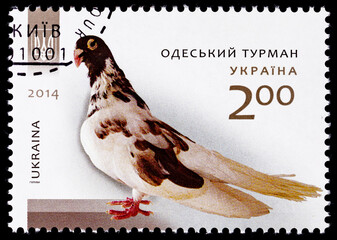 Postage stamps of Ukraine with a dove. Series 