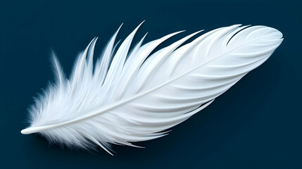 White Feather on Dark Blue Background