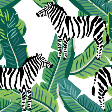 Tropical zebra, green banana palm leaves, white background. Vector seamless pattern. Jungle illustration. Exotic plants, animals. Summer floral design. Paradise nature