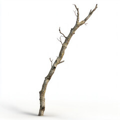 wooden stick isolated