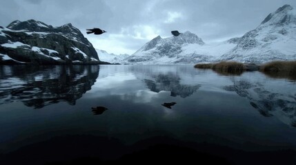 Majestic Birds Soar Over a Glacial Lake