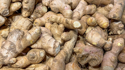 Fresh ginger roots piled together, organic spice for cooking, herbal medicine, and health benefits
