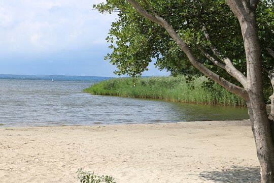 Idylle am Strand Wei&szlig;e D&uuml;ne in Mardorf am Steinhuder Meer