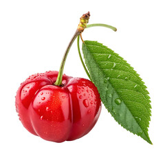 cherry with leaf