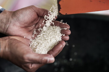 A farmer shows rice being milled using a rice mill on his hand. © Charnchai saeheng