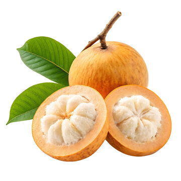 santol Transparent Background
