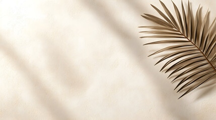 Dry palm leaf against a soft beige background  