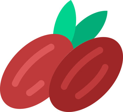 Dates Fruit Flat Icon