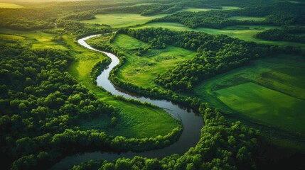 Fototapeta premium Winding river and lush greenery scenic landscape nature aerial view tranquil environment