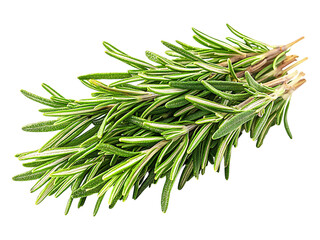 Fototapeta premium Vibrant sprigs of fresh rosemary, isolated on a white background. Perfect for culinary, health, or beauty projects. This image conveys freshness, natural aroma, and herbal goodness.