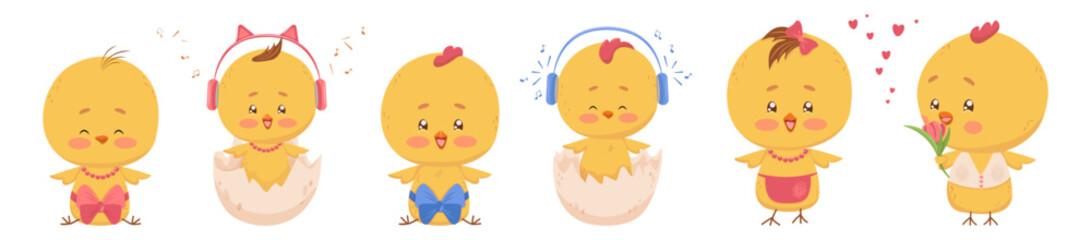 Large friendly family of chicks different and ages. Cute newborn chicks. Vector isolated drawing cute characters boys and girls, mom and dad. Print children's room, textiles, cards, Family Day