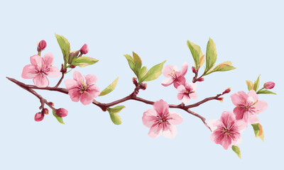 Obraz premium Vector spring bud, pink cherry blossom flower branch. Flat Vector watercolor illustration