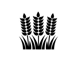 creative details Wild Grass Icon vector illustration