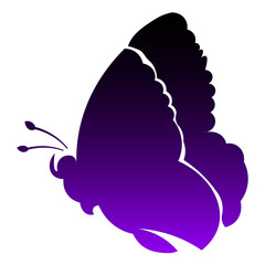 Butterfly symbol shape decorative design elements