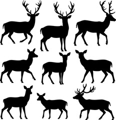 Nine Deer Silhouettes: Stag, Doe, Diverse Poses, Vector Collection