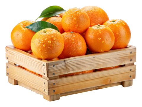A basket filled with ripe oranges and tangerines offers a fresh, juicy, and healthy citrus fruit selection