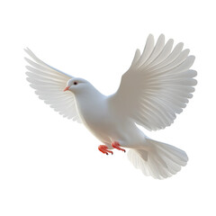 White dove in flight, full-body view on Png Format and Transparent Background