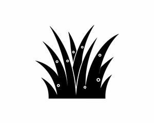creative details Grass with Dew Icon vector illustration