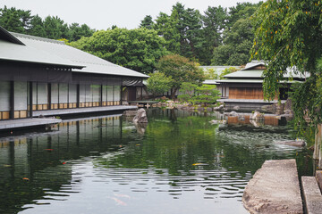 Obraz premium Traditional Japanese garden 