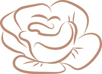 Elegant Rose Line Drawing