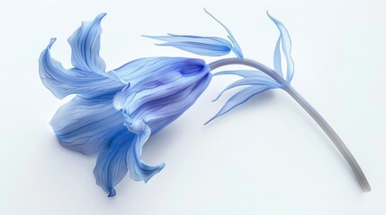 A single bluebell flower, isolated on a transparent white background, with bell-shaped petals 