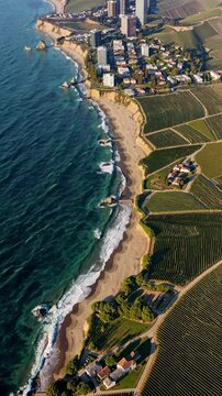 Aerial video captures a stunning coastal cityscape with skyscrapers, vineyards, and a winding shoreline, viewed from a high angle. Live mobile wallpaper.