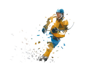 Obraz premium Ice hockey player, isolated low poly vector illustration with distortion effect, front view. Winter team sports, ice hockey