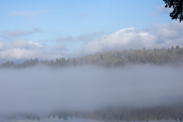 Fototapeta premium A foggy tranquil morning on Mayfield Lake