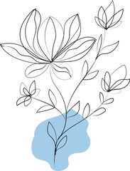 Lily flowers drawing with lineart vector illustrations graphic design