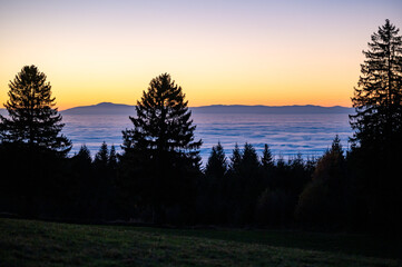 Wolkenmeer über dem Rheintal / Südschwarzwald